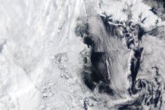 Research: New technology offers unprecedented look at life beneath sea ice in important ocean region —