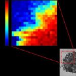 Study: Physics can show us the inside of tumors — (Details)