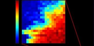 Study: Physics can show us the inside of tumors — (Details)