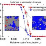 Study: Same force that influences economics and physics complicates efforts to prevent disease — (Details)