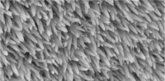 Tech: Artificial bug eyes — (Report)