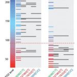 Study: Findings could help inform new therapies, improve diagnosis — (Details)