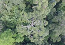 Tech: Using drones to tackle climate change — (Report)