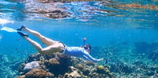 Research: Sunscreen and cosmetics compound may harm coral by altering fatty acids —