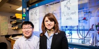 Study: Drug development options diversified with new metal catalyst — (Details)