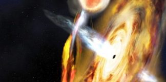 Research: Halo of highly energized electrons around the black hole contracts dramatically during feeding frenzy —