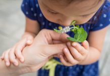 Research: Genes on the move help nose make sense of scents —