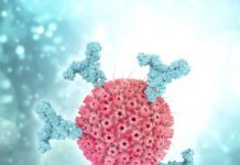 Research: Fighting another virus? Blame your parents —
