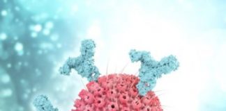 Research: Fighting another virus? Blame your parents —