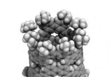 Tech: Nanometer-sized tubes made from simple benzene molecules — (Report)