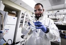 Tech: Cartilage could be key to safe ‘structural batteries’ — (Report)