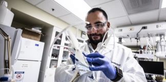 Tech: Cartilage could be key to safe ‘structural batteries’ — (Report)