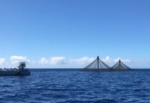 Research: Wealth of potential for aquaculture in the Caribbean —