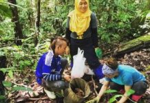 Research: Termites mitigate effects of drought in Tropical Rainforest —