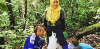 Research: Termites mitigate effects of drought in Tropical Rainforest —