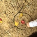 Study: Connection to nature lessens distress, hyperactivity and behavioral problems — (Details)