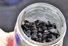 Research: Study shows how government promotes agricultural, environmental benefits — and could do more —