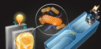 Tech: Microbes screened with a new microfluidic process might be used in power generation or environmental cleanup — (Report)