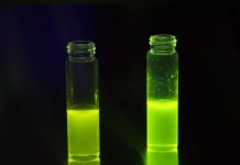 Tech: Scientists develop promising new type of polymers — (Report)