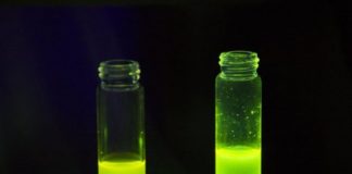 Tech: Scientists develop promising new type of polymers — (Report)