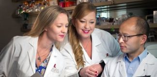 Study: More accurate leukemia diagnosis expected as researchers refine leukemia classification — (Details)