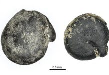 Research: 3,000-year-old eastern North American quinoa discovered in Ontario —