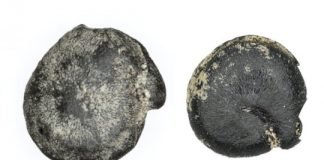 Research: 3,000-year-old eastern North American quinoa discovered in Ontario —