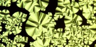 Tech: Engineers perform computational logic with light — (Report)