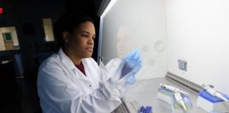 Study: Public health concern is a possible emergence of malaria in new regions, Baylor researcher says — (Details)