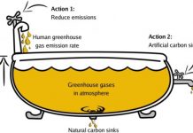 Research: How could artificial photosynthesis contribute to limiting global warming? Scientists calculate areas needed for forestation and artificial photosynthesis —
