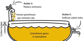Research: How could artificial photosynthesis contribute to limiting global warming? Scientists calculate areas needed for forestation and artificial photosynthesis —