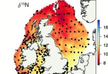 Research: Jellyfish map could be the future to protecting UK waters and fish —