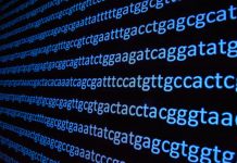 Tech: Artificial intelligence applied to the genome identifies an unknown human ancestor — (Report)