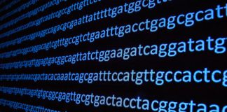 Tech: Artificial intelligence applied to the genome identifies an unknown human ancestor — (Report)