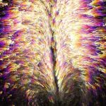 Study: How stem cells self-organize in the developing embryo — (Details)