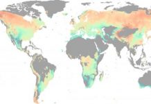 Research: Water, not temperature, limits global forest growth as climate warms —
