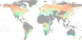 Research: Water, not temperature, limits global forest growth as climate warms —