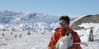 Research: New details of juvenile diving, foraging behaviors —