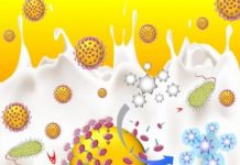 Research: New test to detect disease and infection —