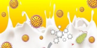 Research: New test to detect disease and infection —