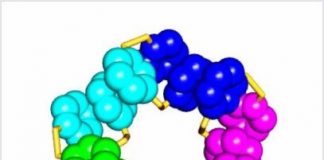 Research: Complex molecules emerge without evolution or design —