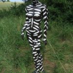 Study: Body-painting protects against bloodsucking insects — (Details)