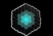 Research: Artificially produced cells communicate with each other —