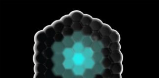 Research: Artificially produced cells communicate with each other —