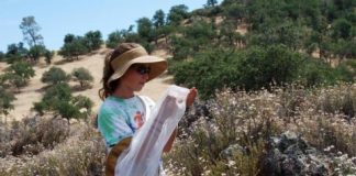 Research: Bee surveys in newest US national park could aid pollinator studies elsewhere —