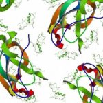 Study: Technique could yield insights into complex proteins involved in Alzheimer’s and other diseases — (Details)