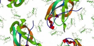 Study: Technique could yield insights into complex proteins involved in Alzheimer’s and other diseases — (Details)