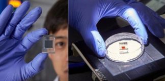 Research: New class of solar cells, using lead-free perovskite materials —