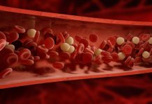 Research: Early prediction of Alzheimer’s progression: Blood protein —