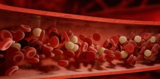 Research: Early prediction of Alzheimer’s progression: Blood protein —